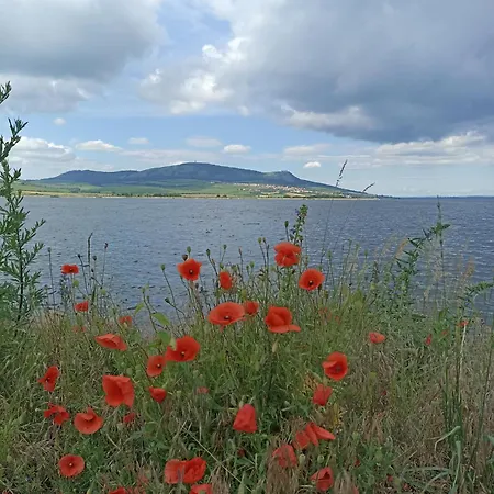 Apollon Леднице